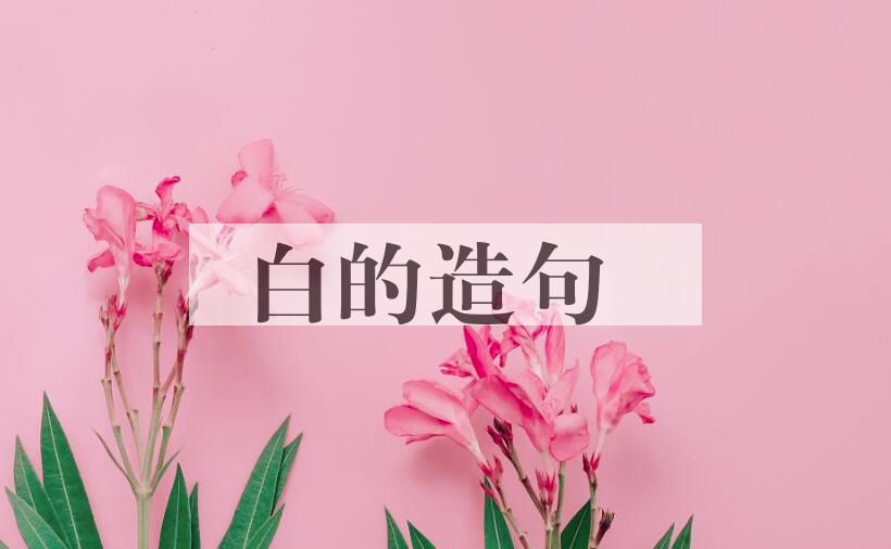 用白的造句