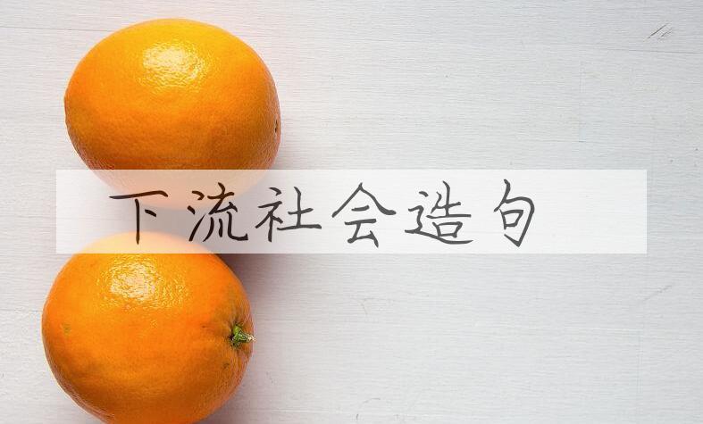 用下流社会造句