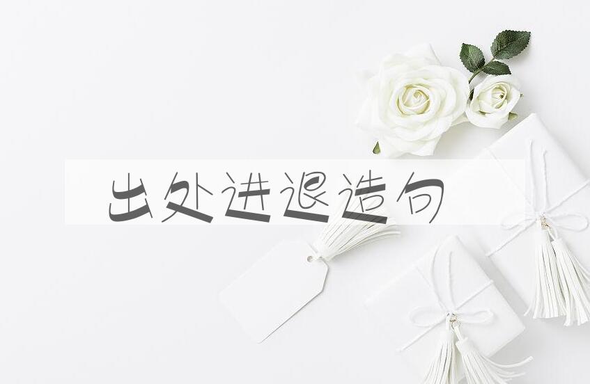 用出处进退造句