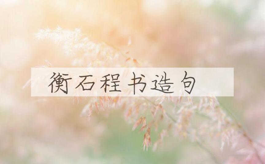 用衡石程书造句