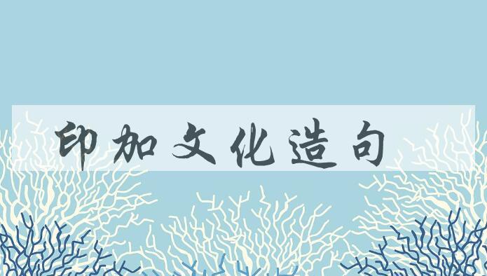 用印加文化造句