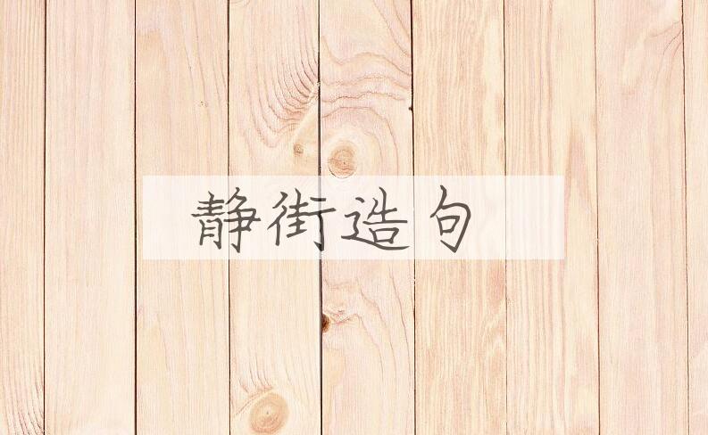 用静街造句