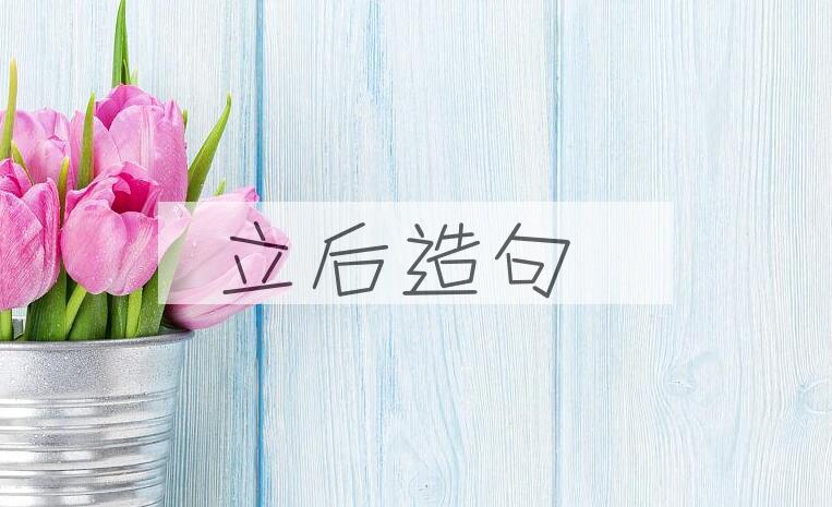 用立后造句