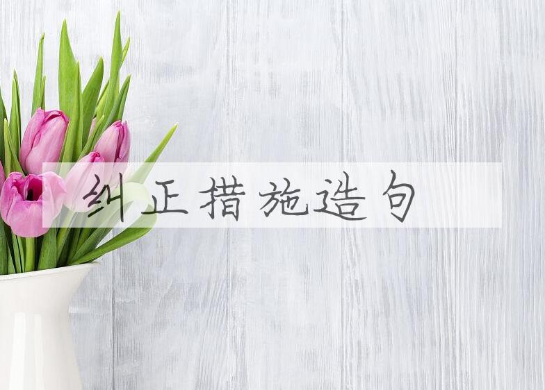 用纠正措施造句