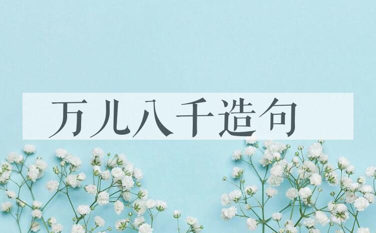 用万儿八千造句