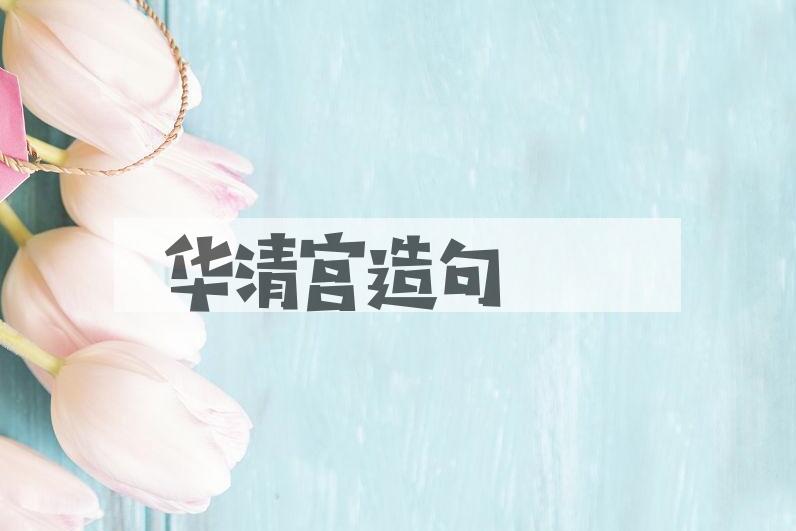 用华清宫造句