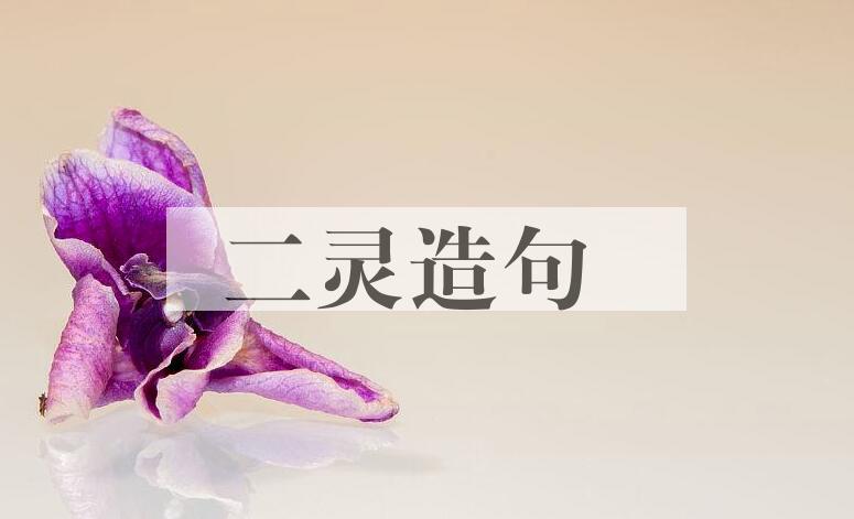 用二灵造句
