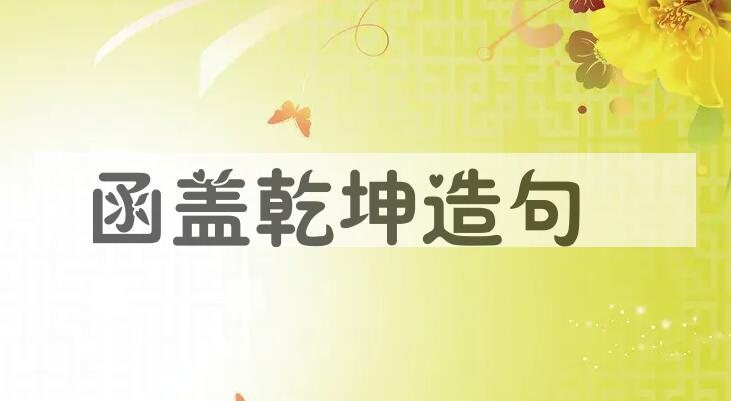 用函盖乾坤造句