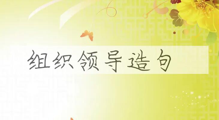 用组织领导造句