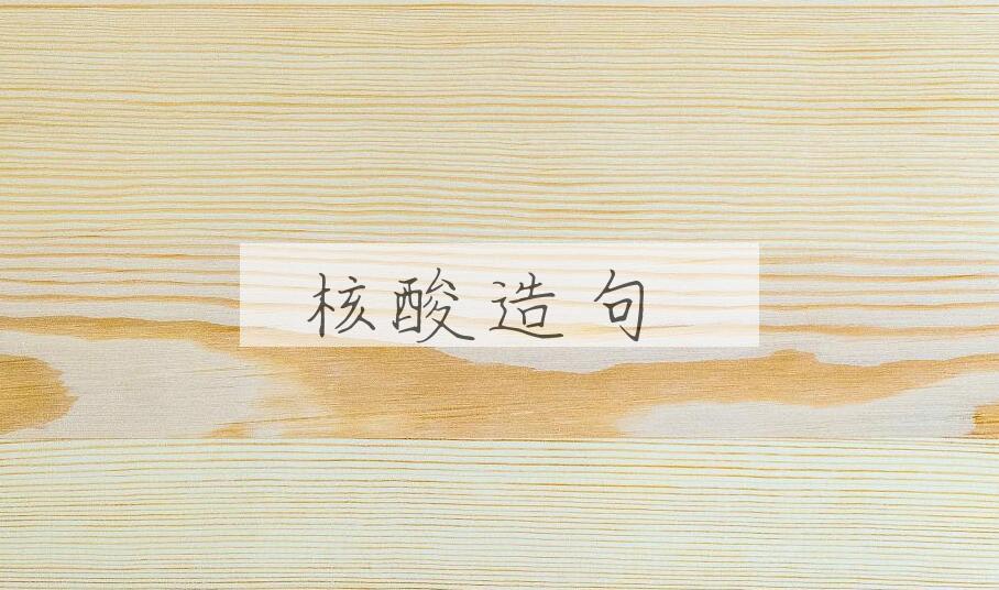 用核酸造句