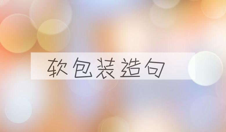 用软包装造句