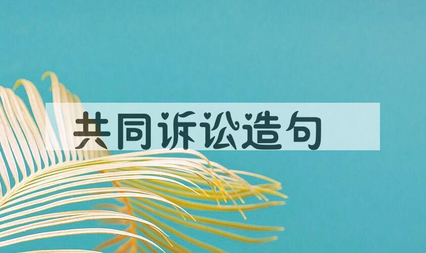 用共同诉讼造句