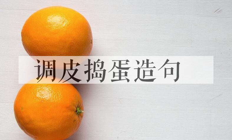 用调皮捣蛋造句