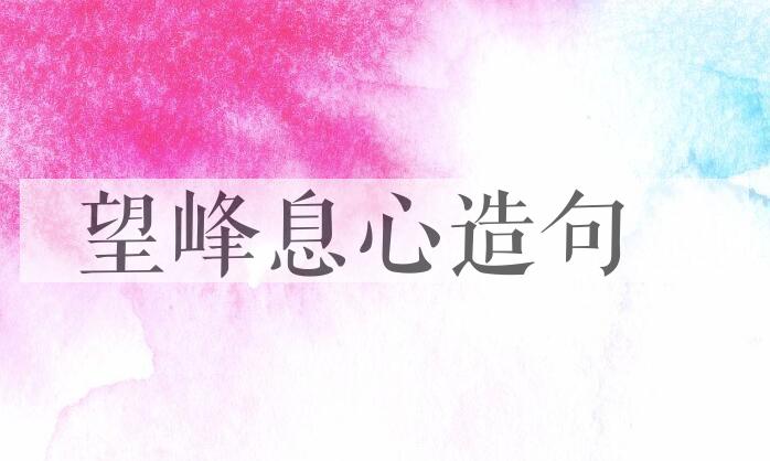 用望峰息心造句