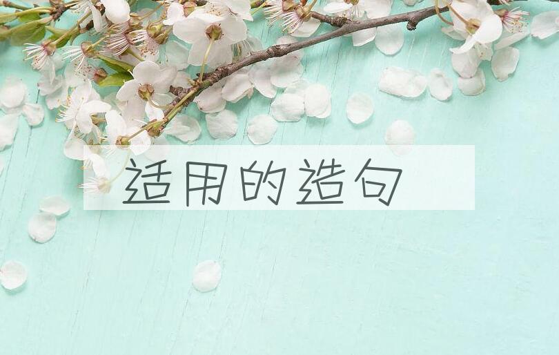 用适用的造句