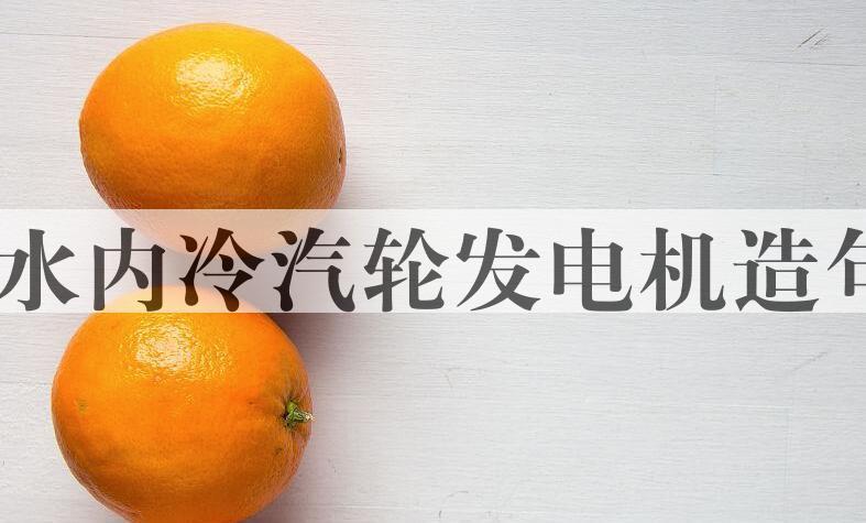 用双水内冷汽轮发电机造句