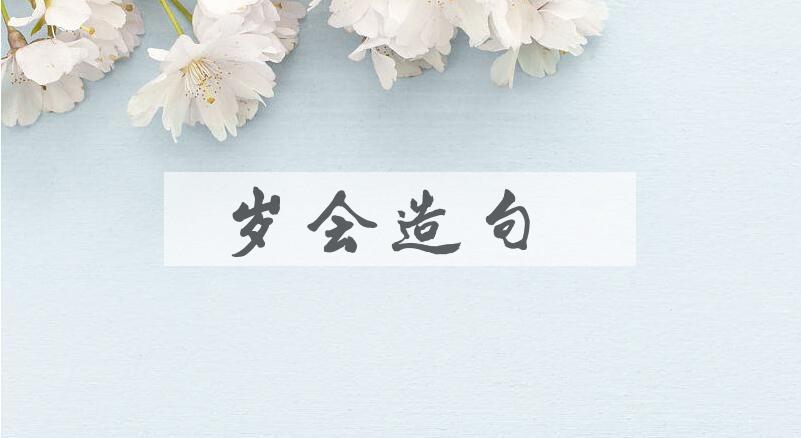 用岁会造句