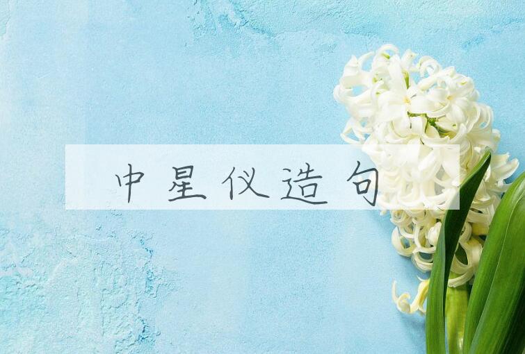 用中星仪造句