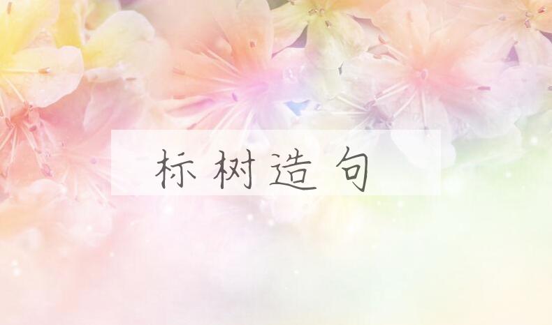 用标树造句