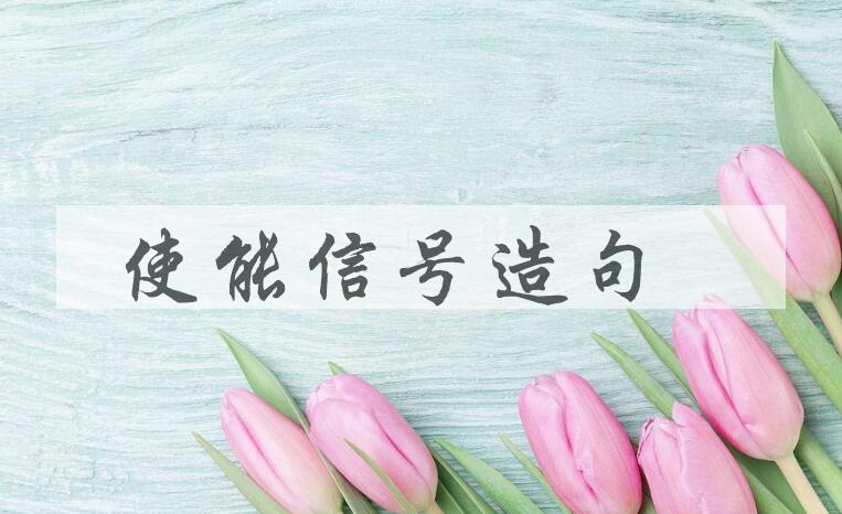 用使能信号造句