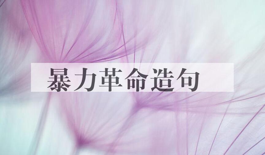 用暴力革命造句