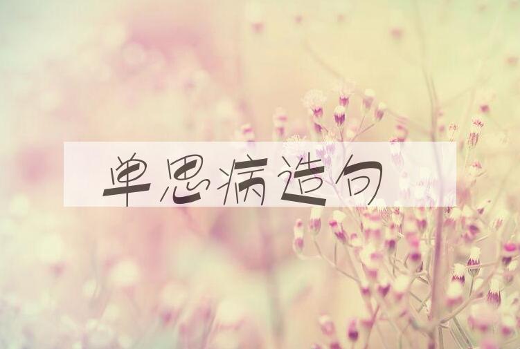 用单思病造句