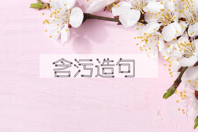 用含污造句