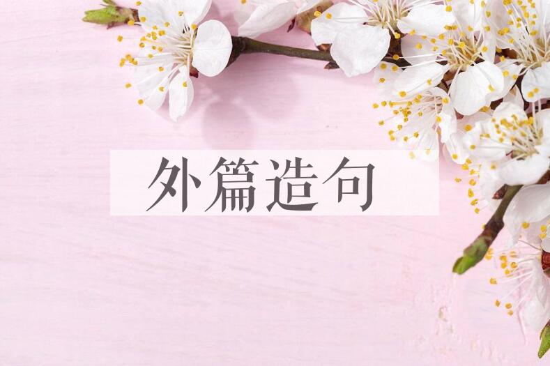 用外篇造句