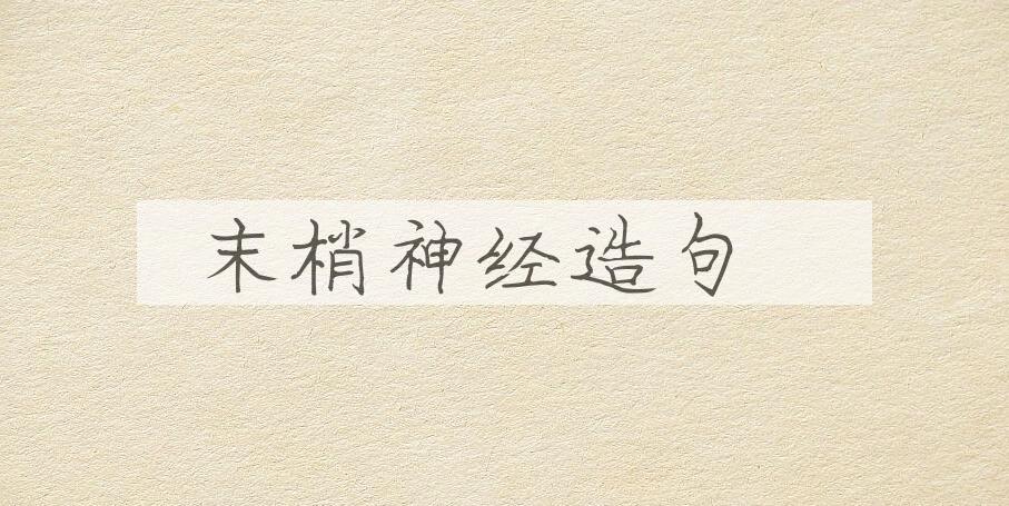 用末梢神经造句