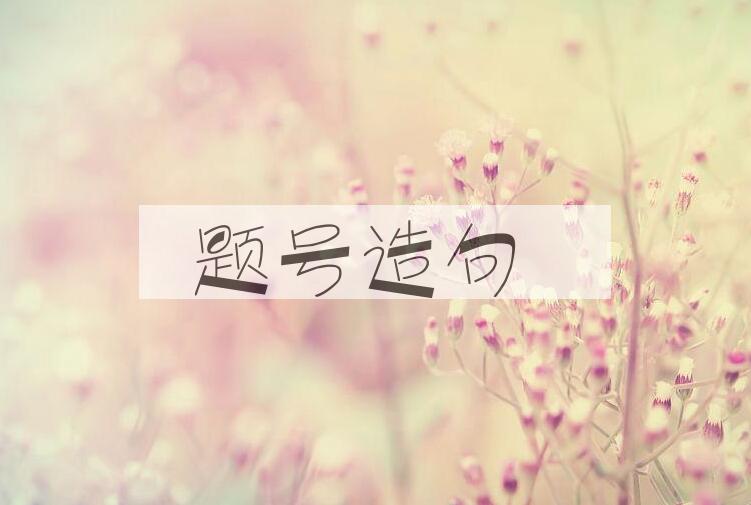 用题号造句