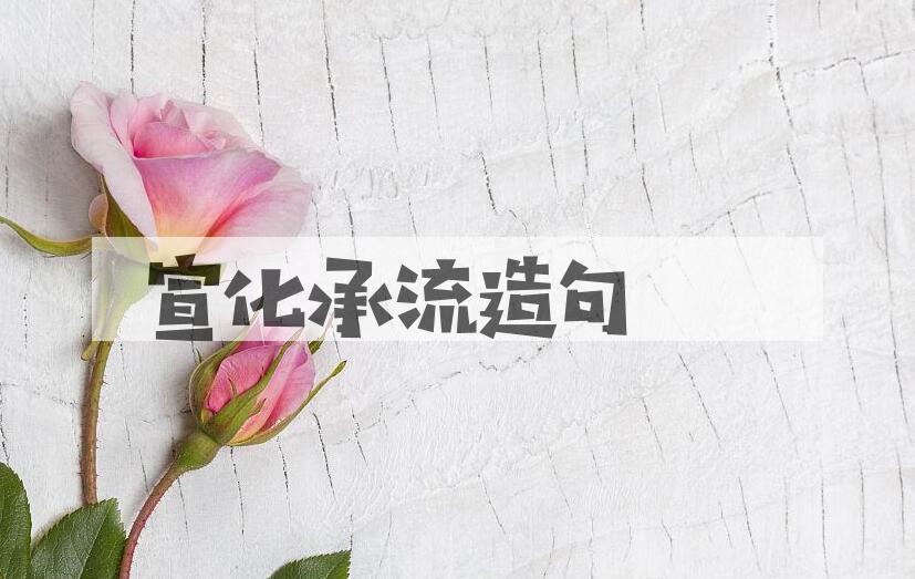 用宣化承流造句