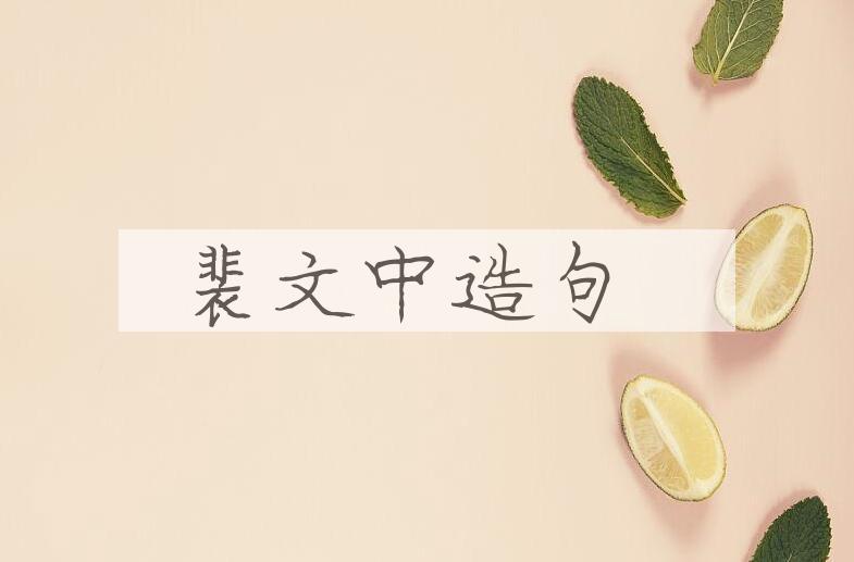 用裴文中(1904-1982)造句