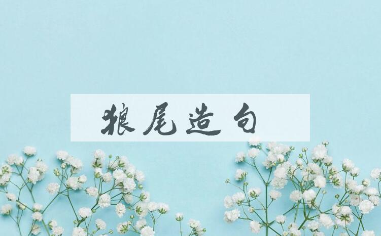 用狼尾造句