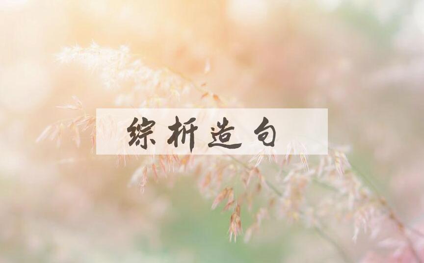用综析造句