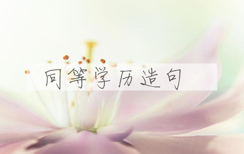 用同等学历造句