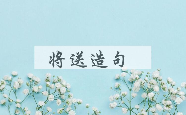 用将送造句