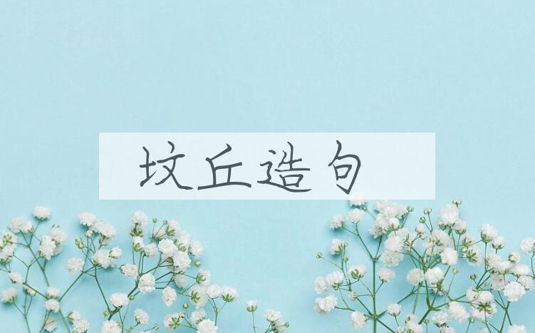 用坟丘造句