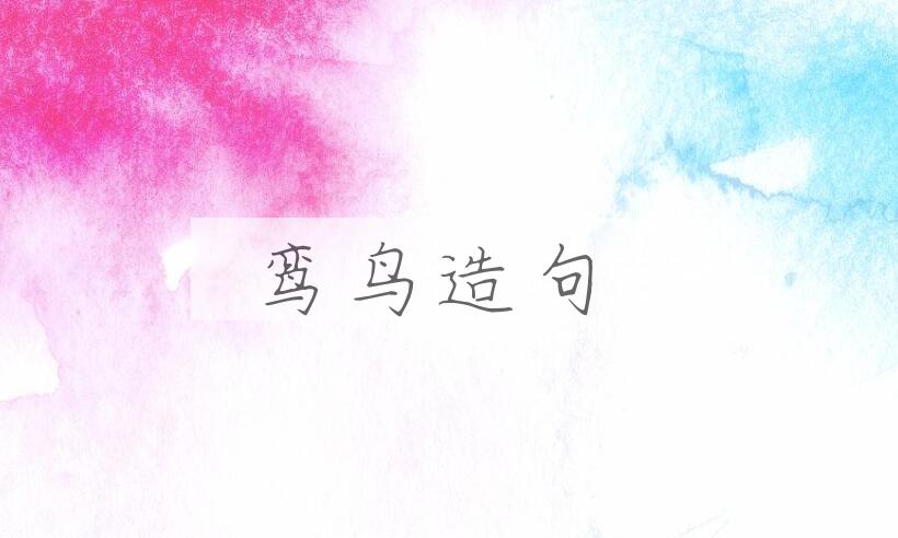 用鸾鸟造句