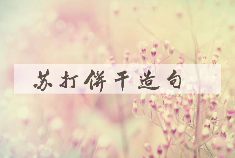 用苏打饼干造句