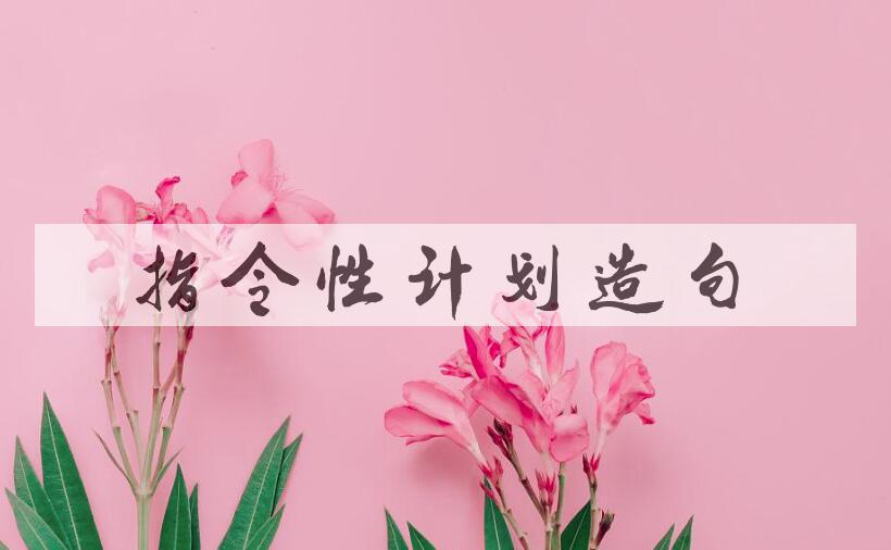 用指令性计划造句