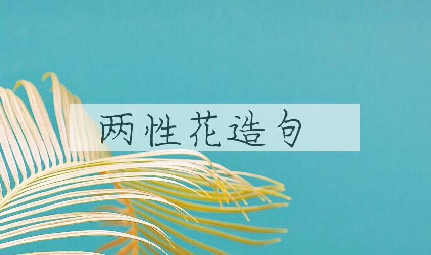 用两性花造句