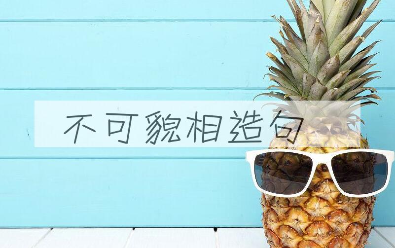 用不可貌相造句