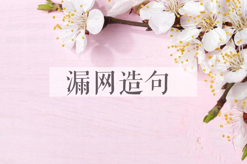 用漏网造句