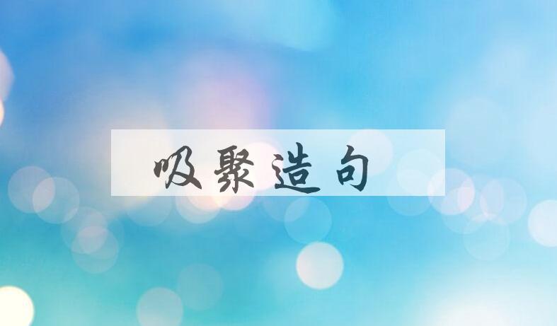 用吸聚造句