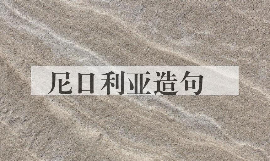 用尼日利亚造句