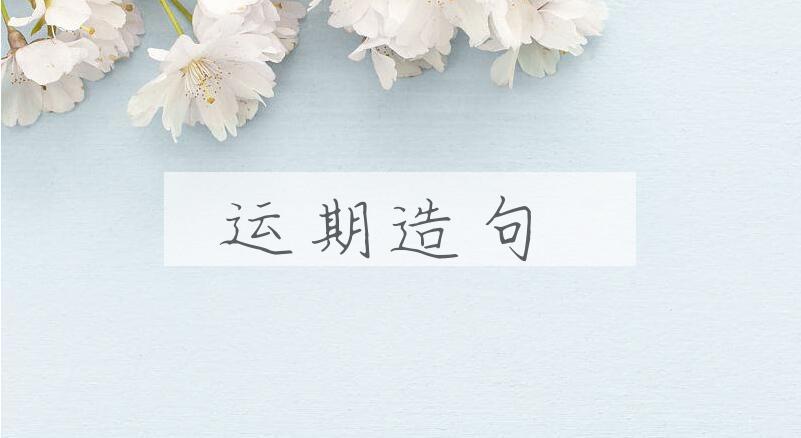 用运期造句