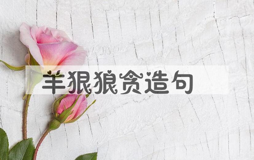 用羊狠狼贪造句