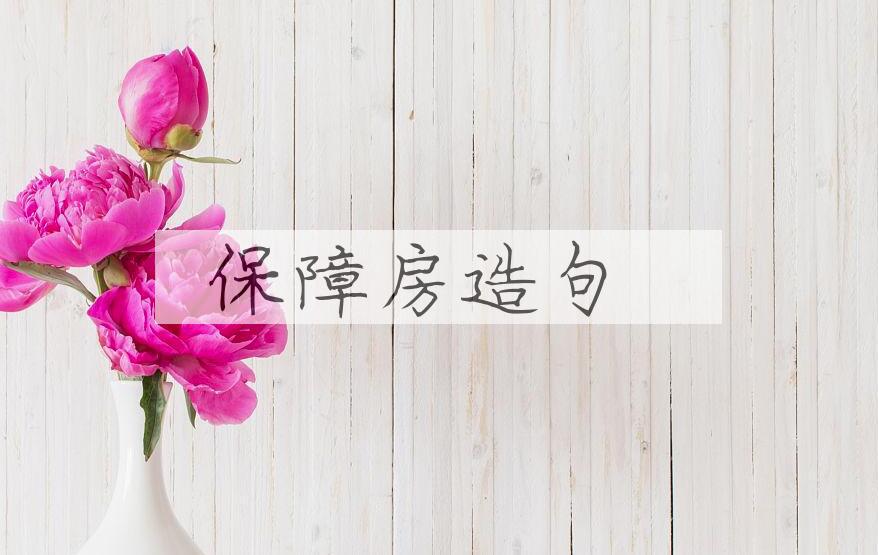 用保障房造句