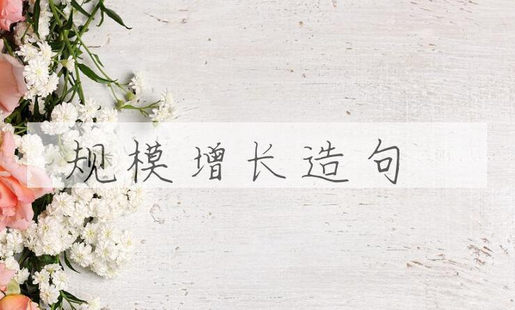 用规模增长造句