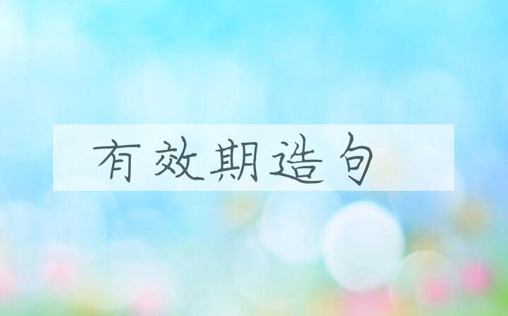 用有效期造句